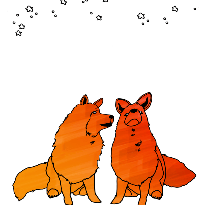 coyotes looking at stars