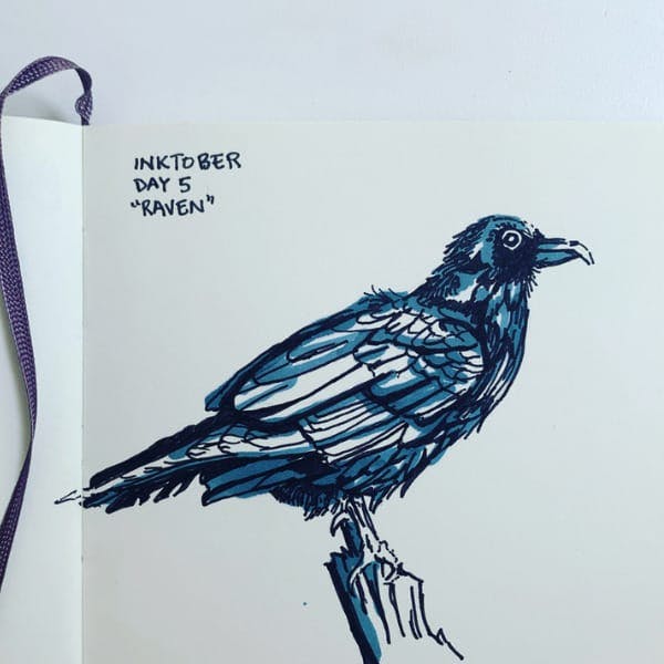 illustrated ink drawing of a raven bird
