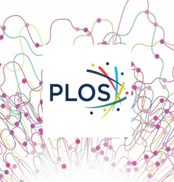 fMRI Study, PLoS One