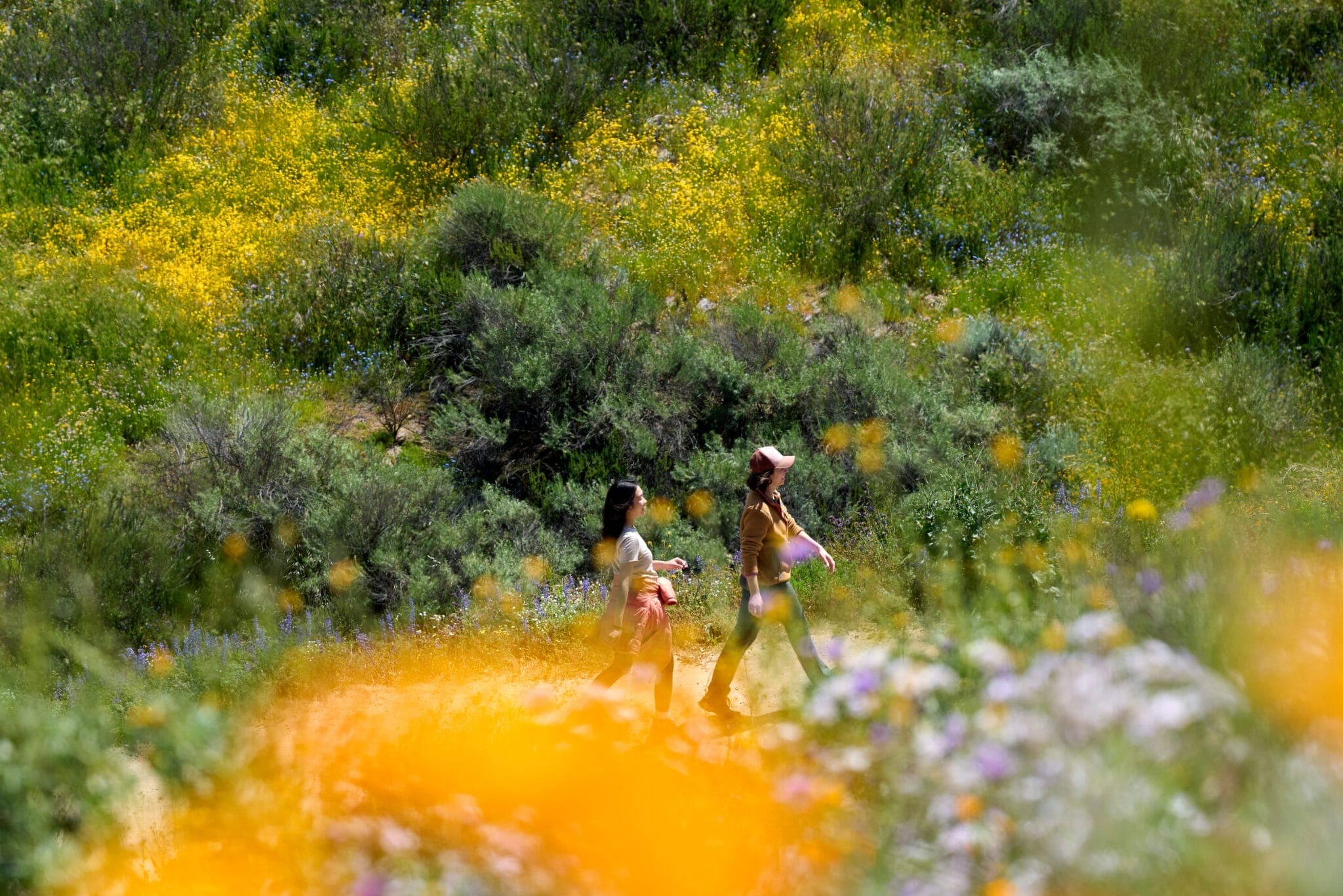 Friends enjoying superbloom